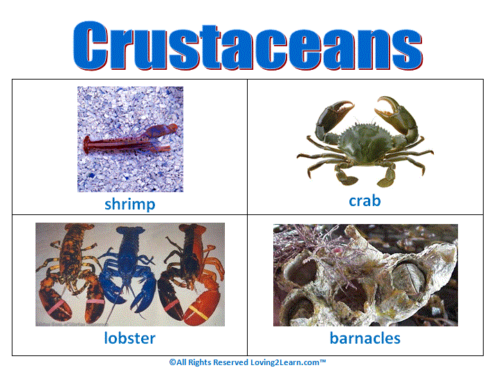 Crustaceans